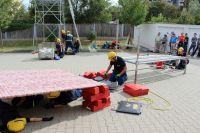 IMG_9835 (Large)